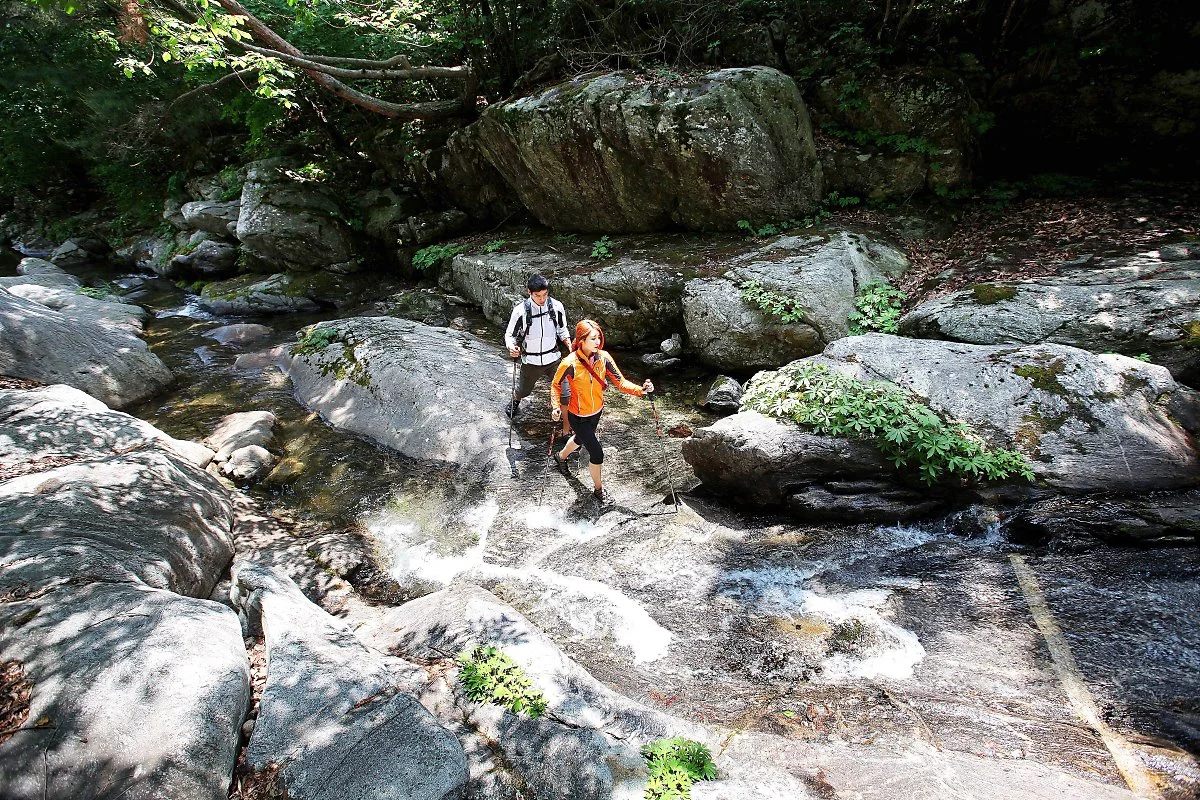 IMG_3087_copy.jpg?type=w1200