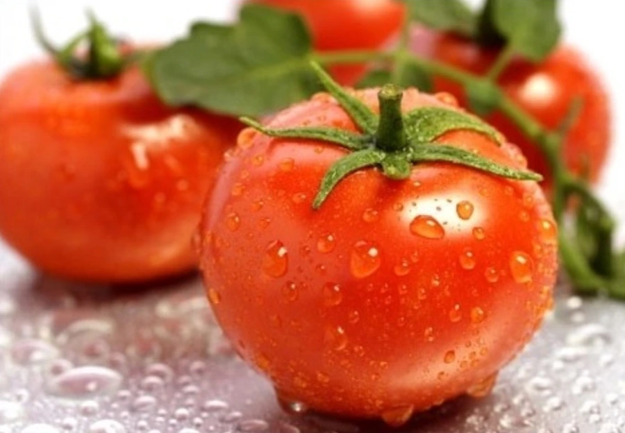 9980893D5AF7681E28902D