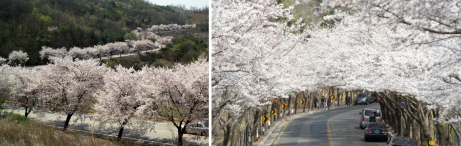 9939AB475AAF5C582917BE