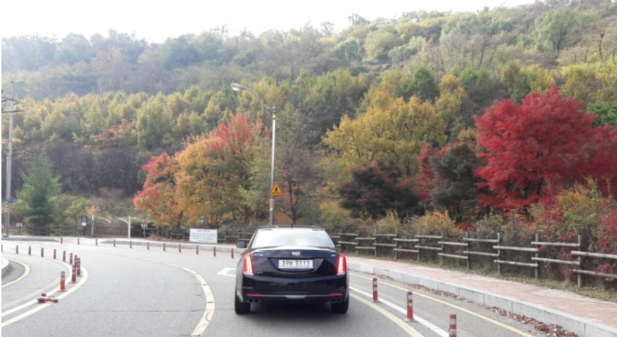 9904D3335A0975771A84AA