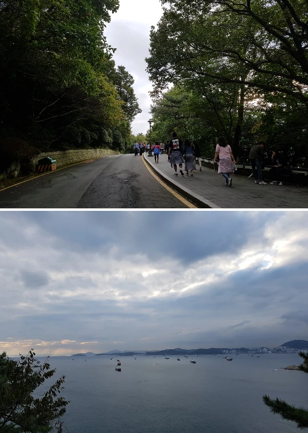 9965EA335A0503BA2405F4