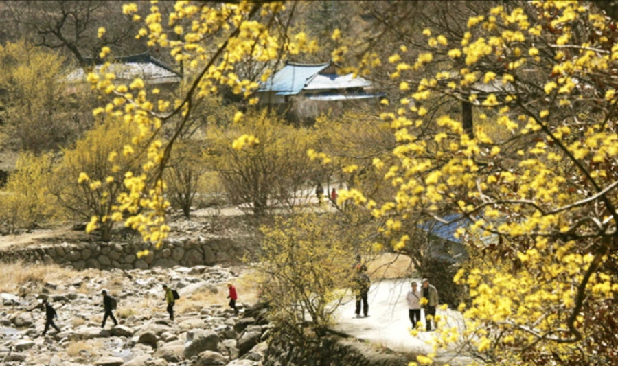 99A0614F5AAF5C4F1CD8B6