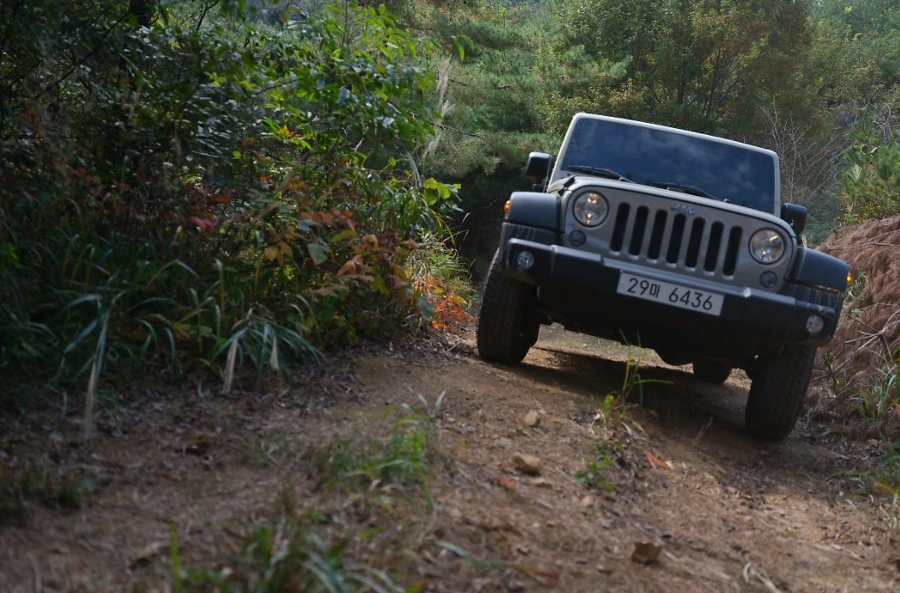 99DB4B335A1A74CC1E748D