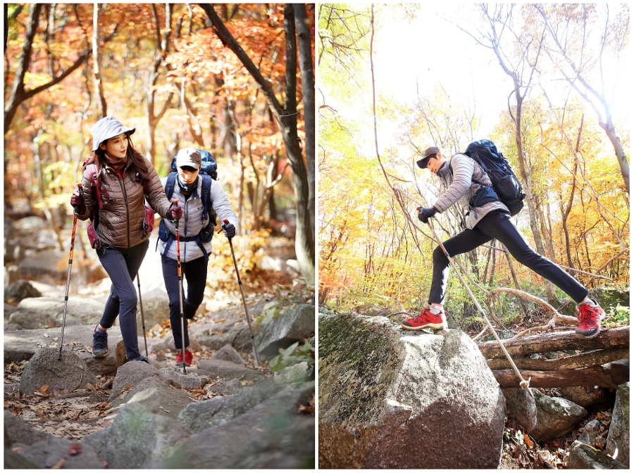 995AEE3359F7D8A1106841