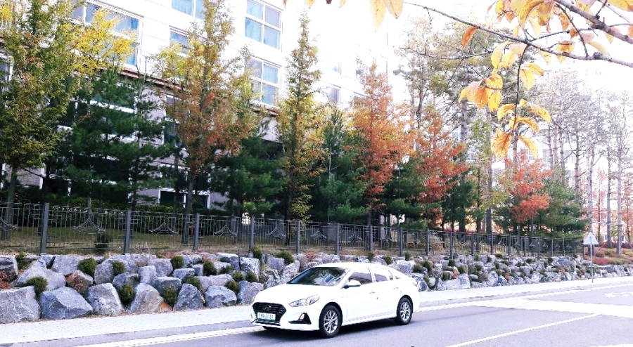 9941E43A5BE7707132B199