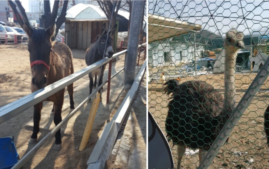 99E9583E5A804F5C0C50BF