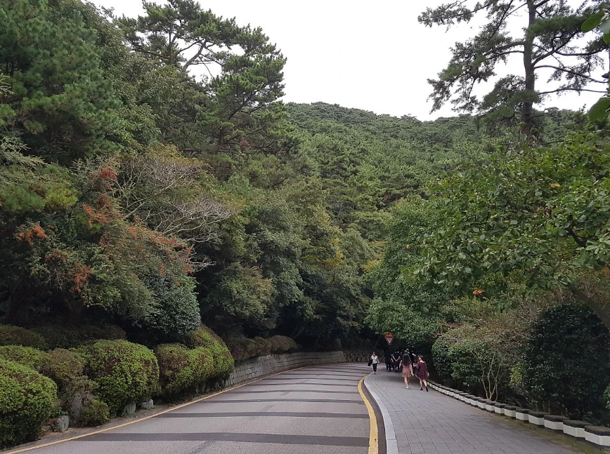 9935E4335A0503C024B087