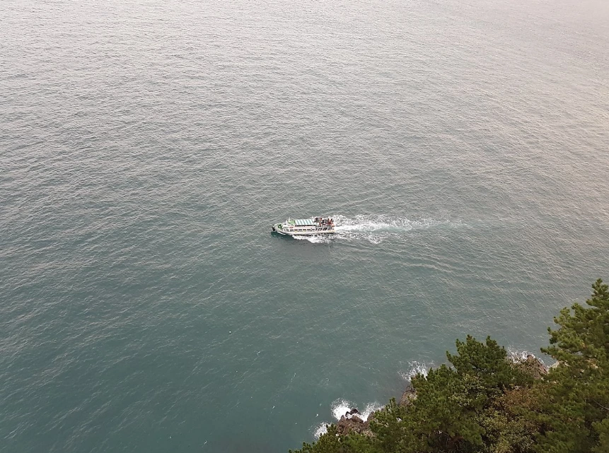 993CF1335A05053A1D8DAC