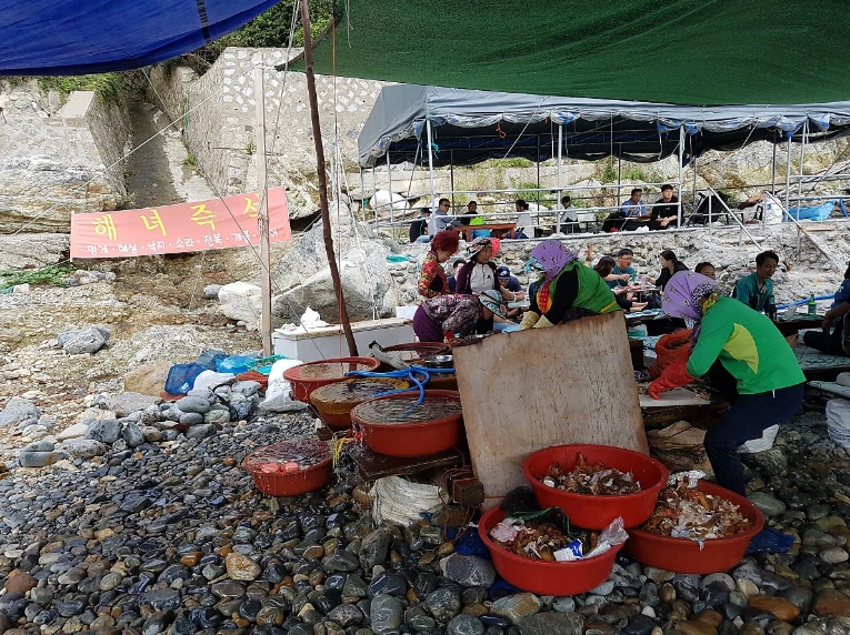 9933F5335A0503B9278291