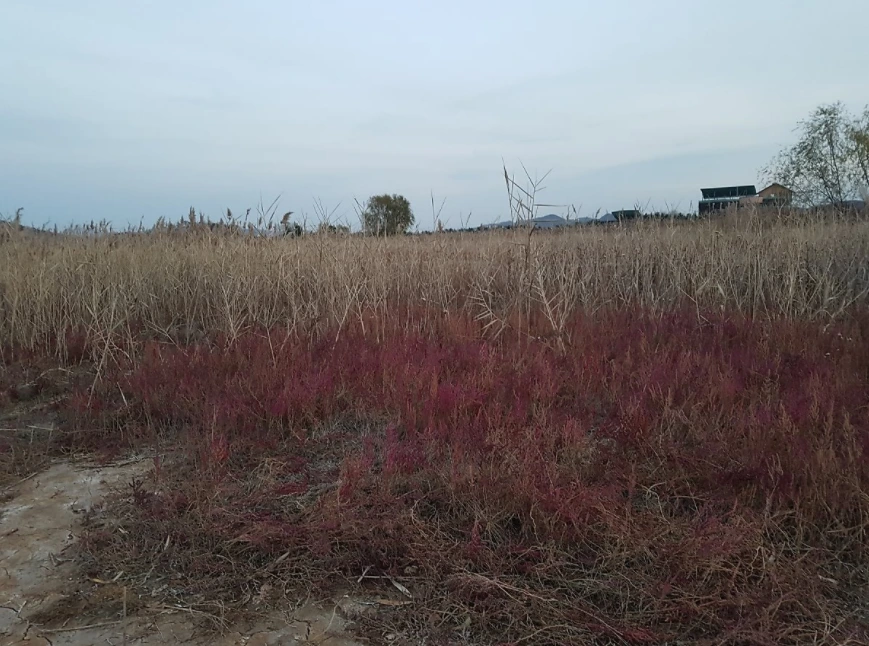 99E00D4C5A3D84250D2082