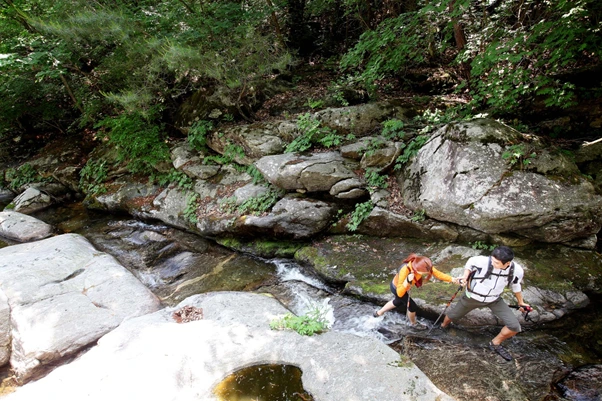 image.png?type=w1200