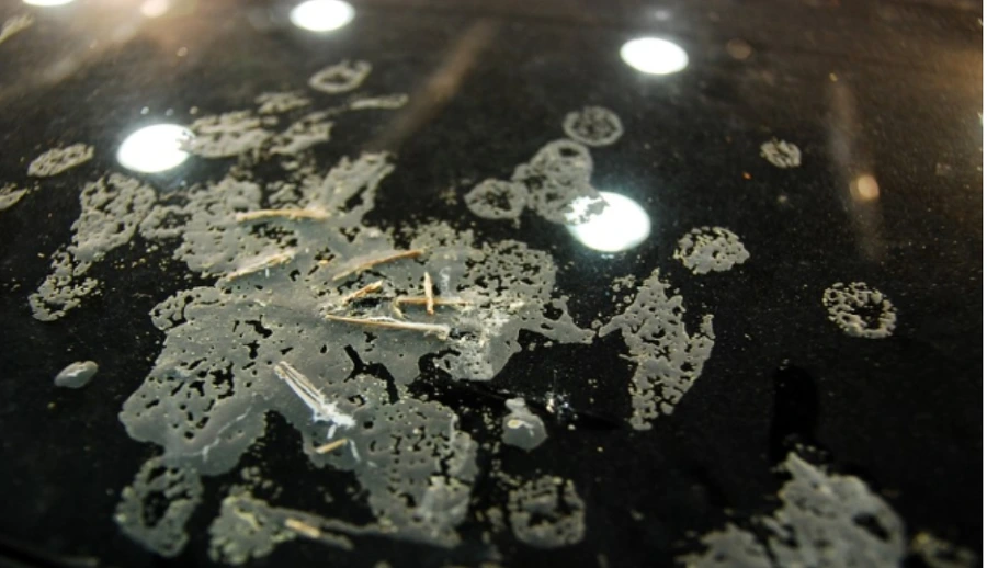 990D0E3C5AF06AF52E4B74