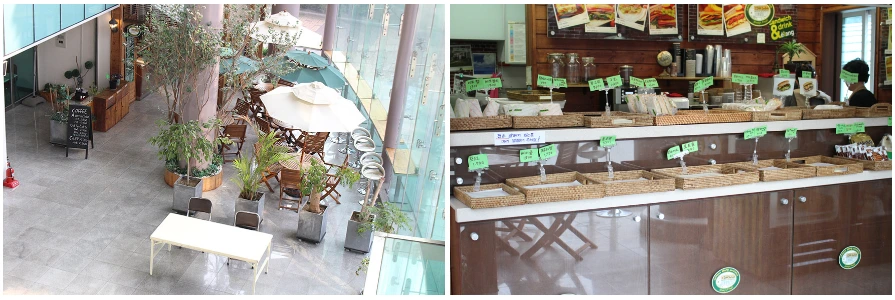 23201D43591567E031FDC4