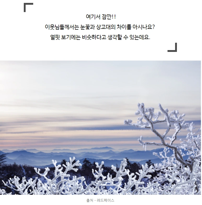 993C8D3D5A52FCD12FEEEF