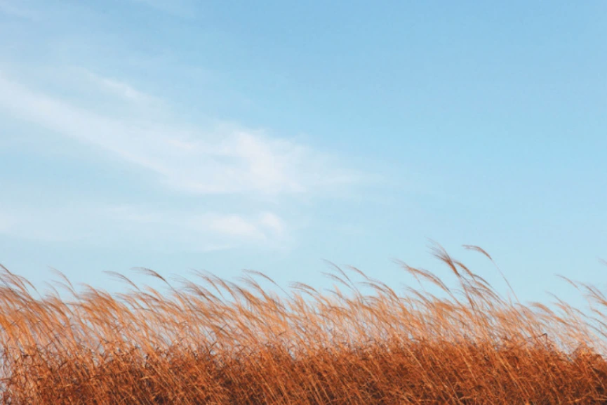 993AA3335A097573278C04