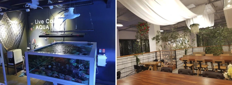 99B70A335B9A146A02B4A3