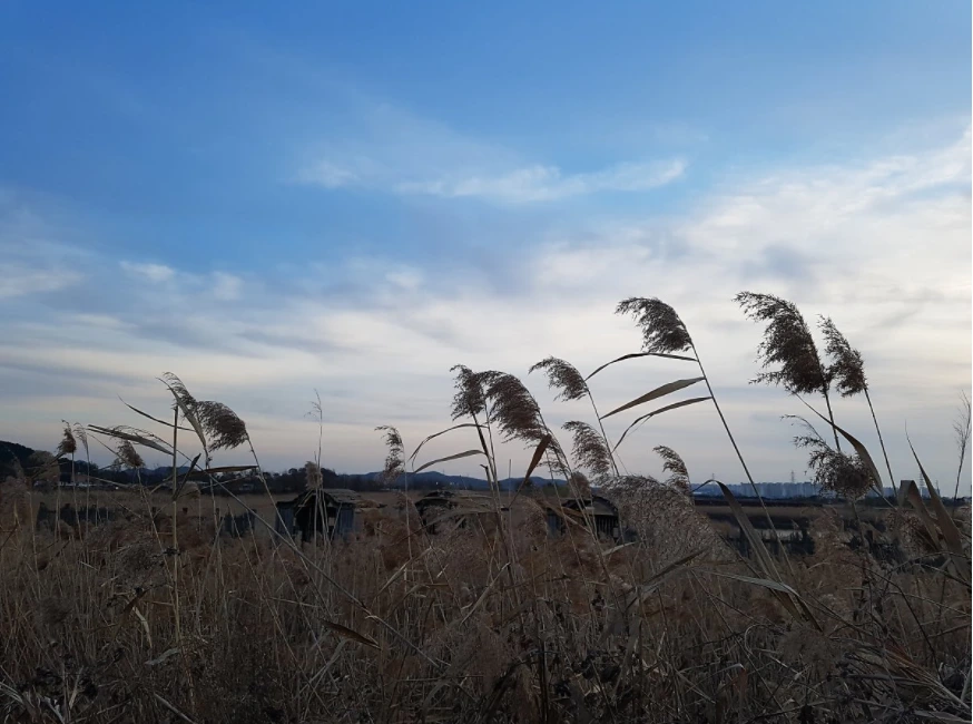 99766B4C5A3D842614AFFA