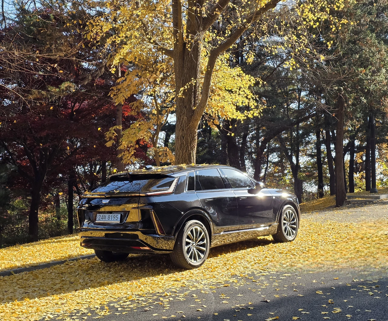 img.jpg?credential=yqXZFxpELC7KVnFOS48ylbz2pIh7yKj8&expires=1764514799&allow_ip=&allow_referer=&signature=Cr4GShVUf1r2%2FaMFMorzVgyvc7I%3D