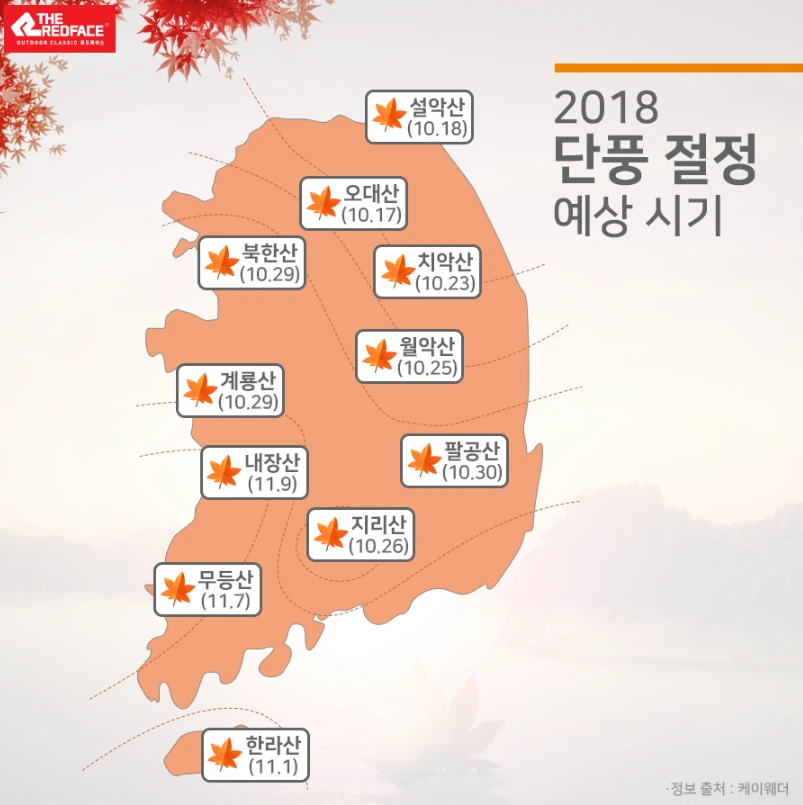 9929C43F5BAF004D0A9FE3