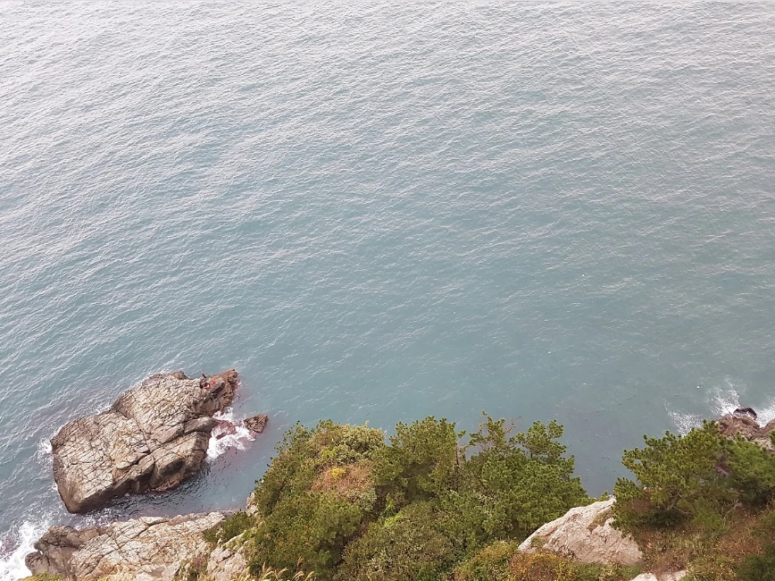 99BA01335A05053925AFEF