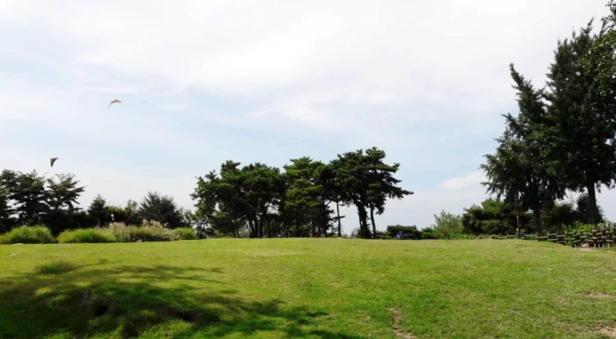 999D883D5BAD49C1181A17