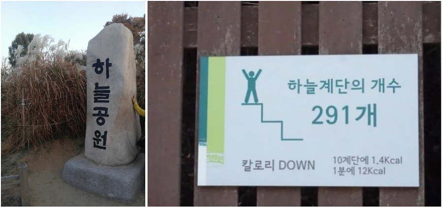 997607335A0974D80AE5C3