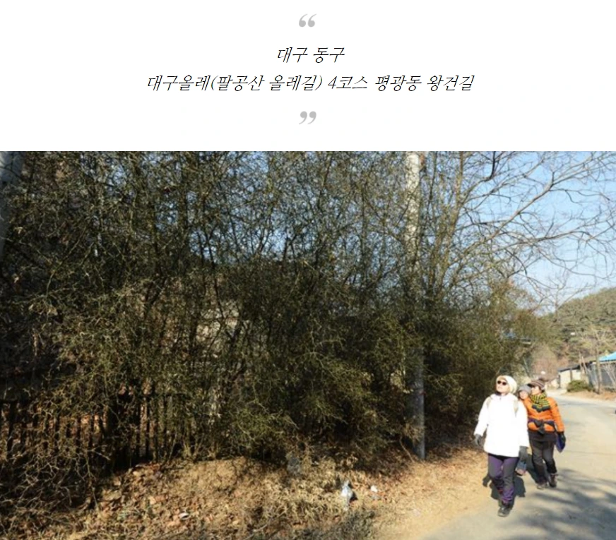 991D824E5AA73E3212B870