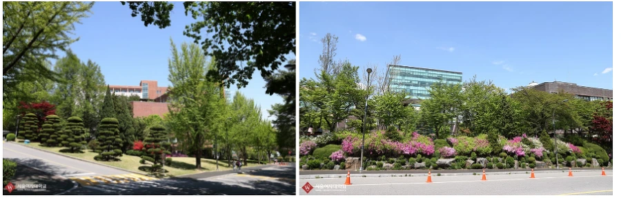 2353B143591567DD208C4F