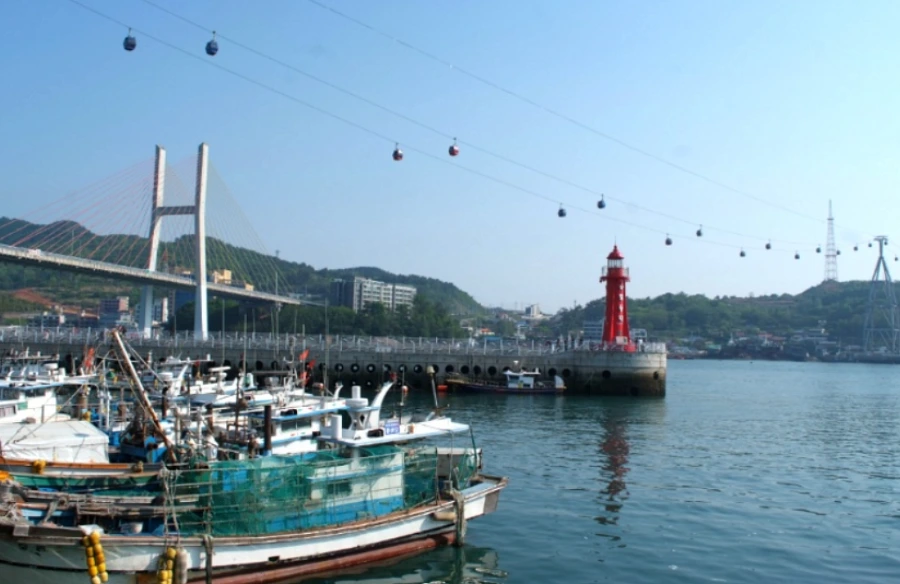 99A59A445B549E17070F4D