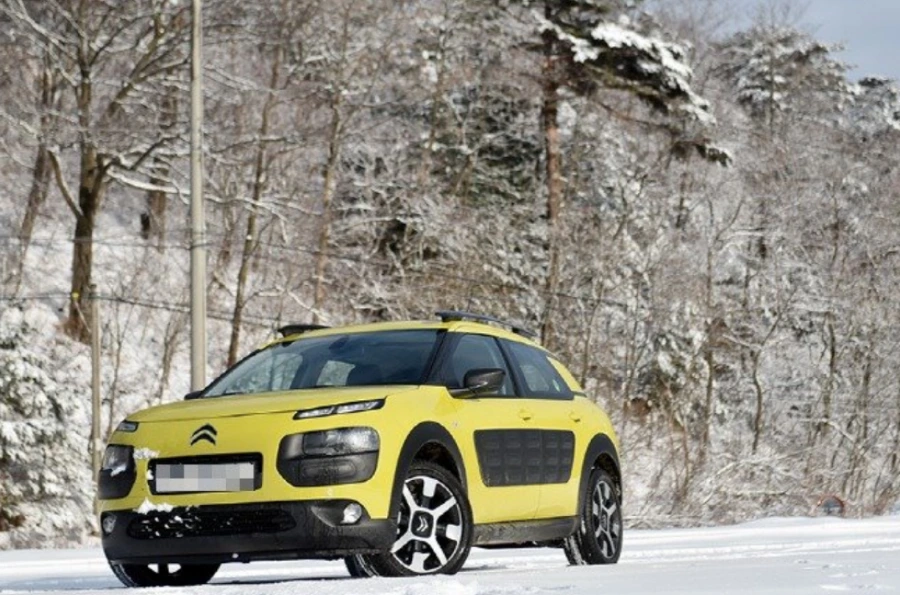 99DF04445A52FF59268447