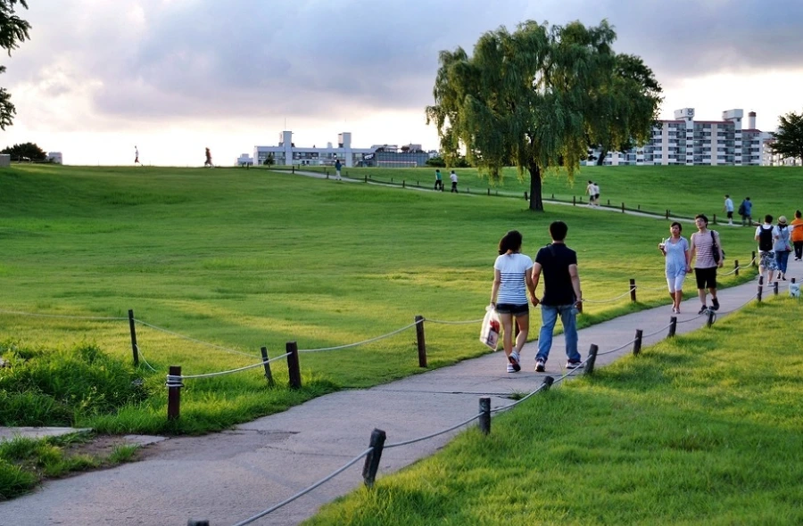 993EF93A5B68DD4C01E803