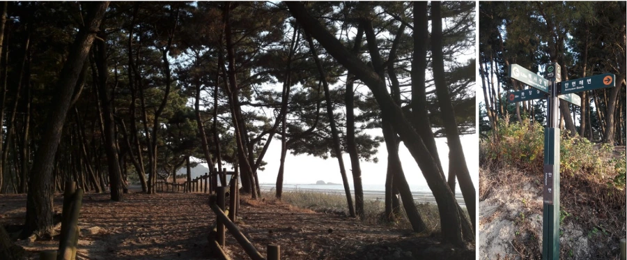 99C3513359FAD9531220CB