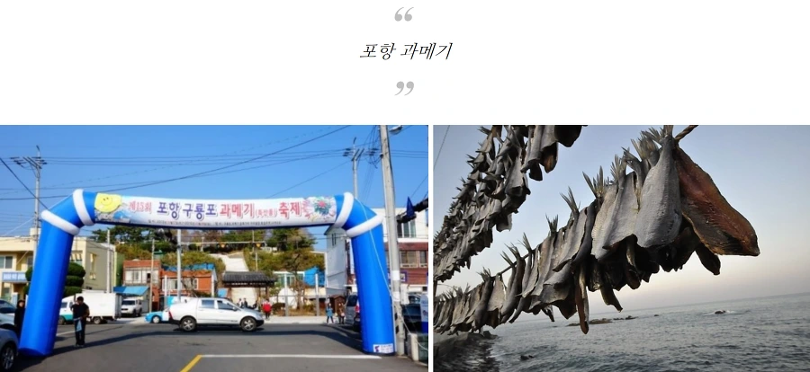 99223D435A5708A51632F4