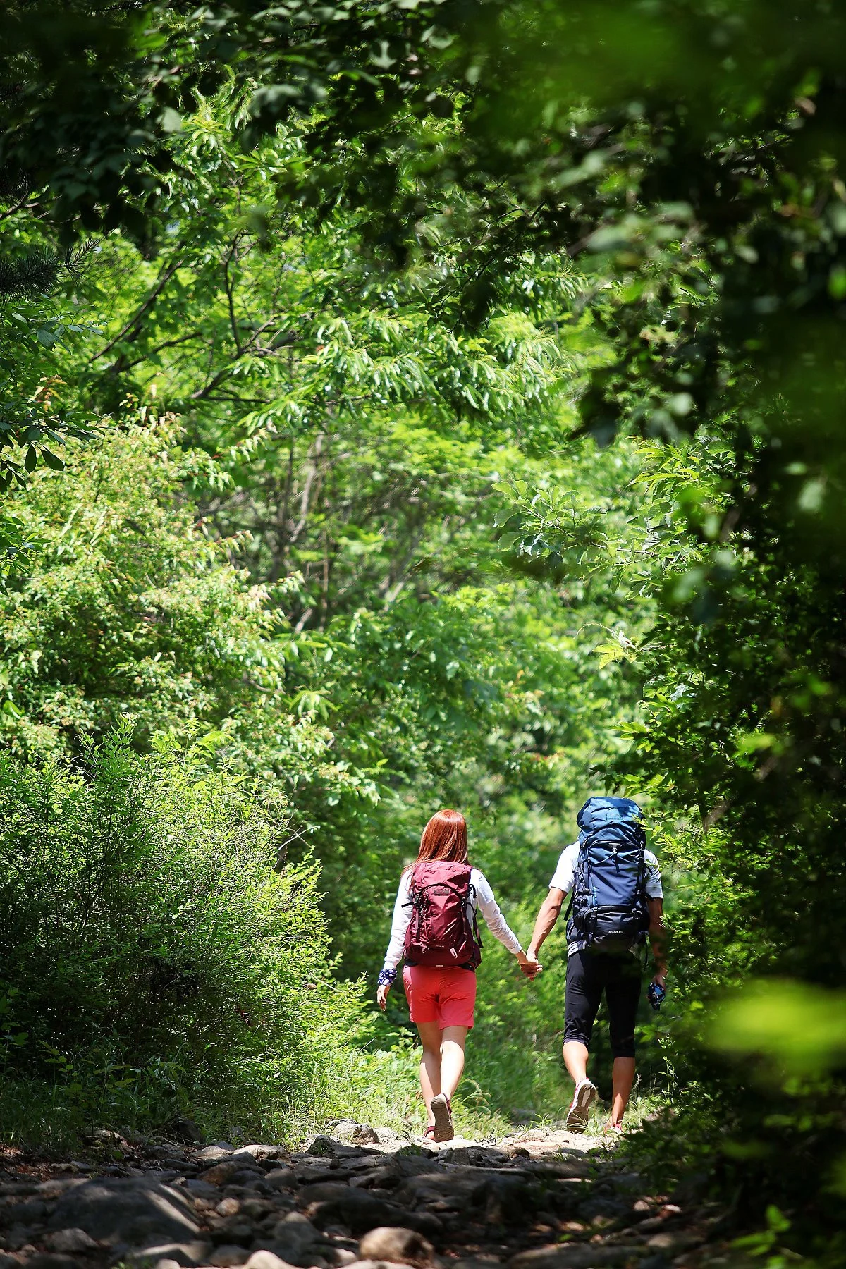 IMG_2695_copy.jpg?type=w1200