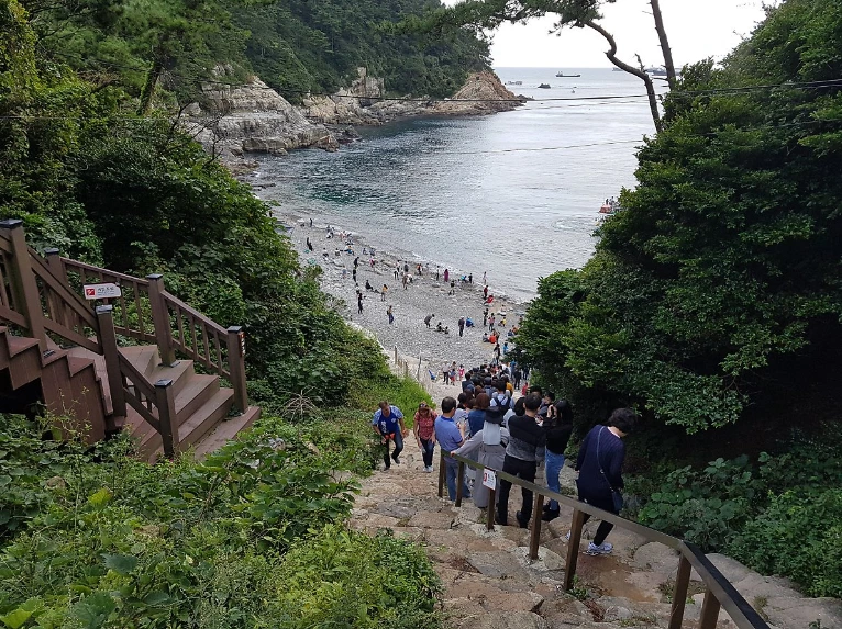 99534A335A0503442918F4