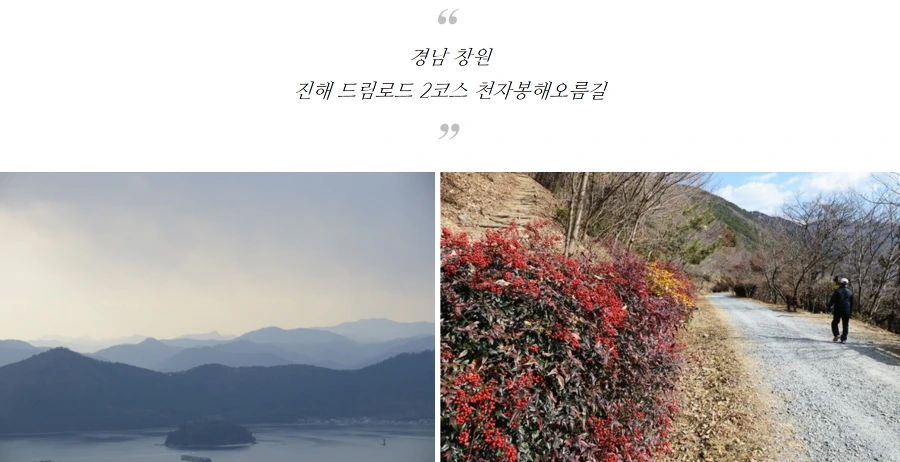 99552D4E5AA73E310F6249