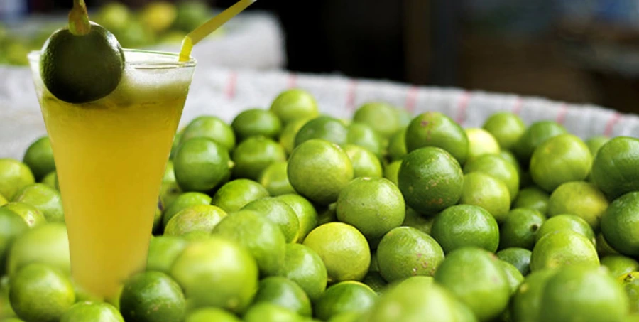 996031375BD0EAE71D8598