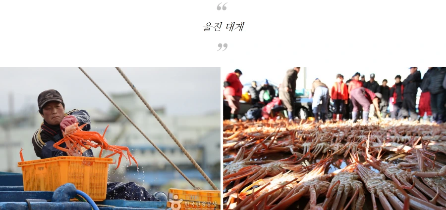 99625A445A5708A22B0CE3