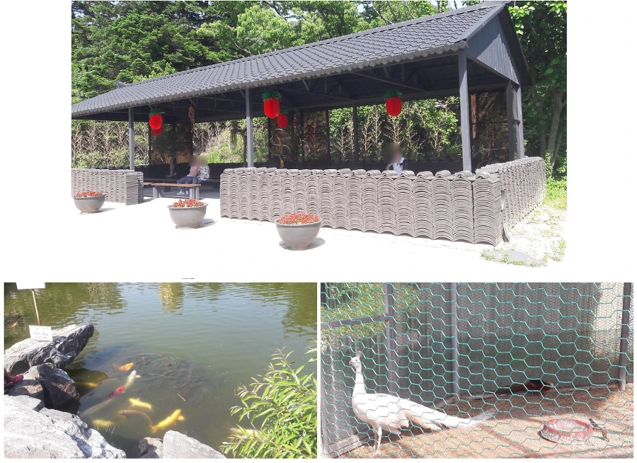 997D8B475B30F15702BB0D