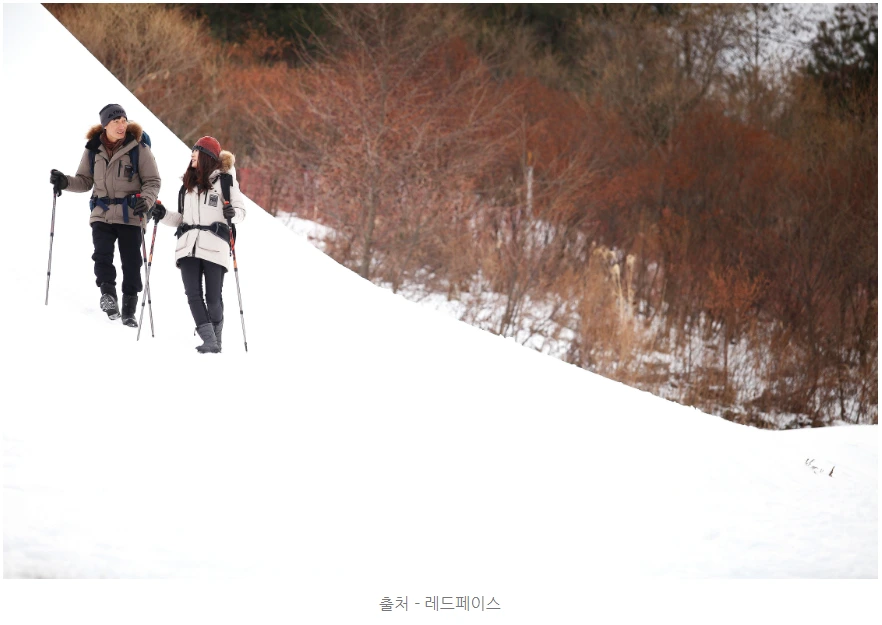 9932F83D5A52FCD531BC15