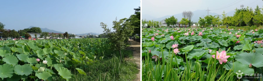 99948B3F5B04E3991E0E41