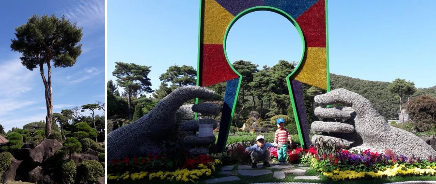 9980453F5BC2A310031308