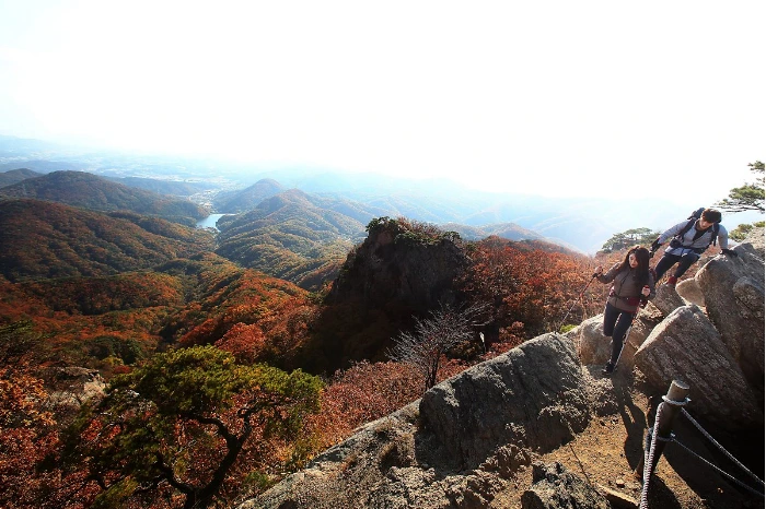 998A5B3359F7D7070A36CD