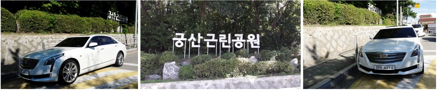 99F1B43B5BAD49B8341DFB