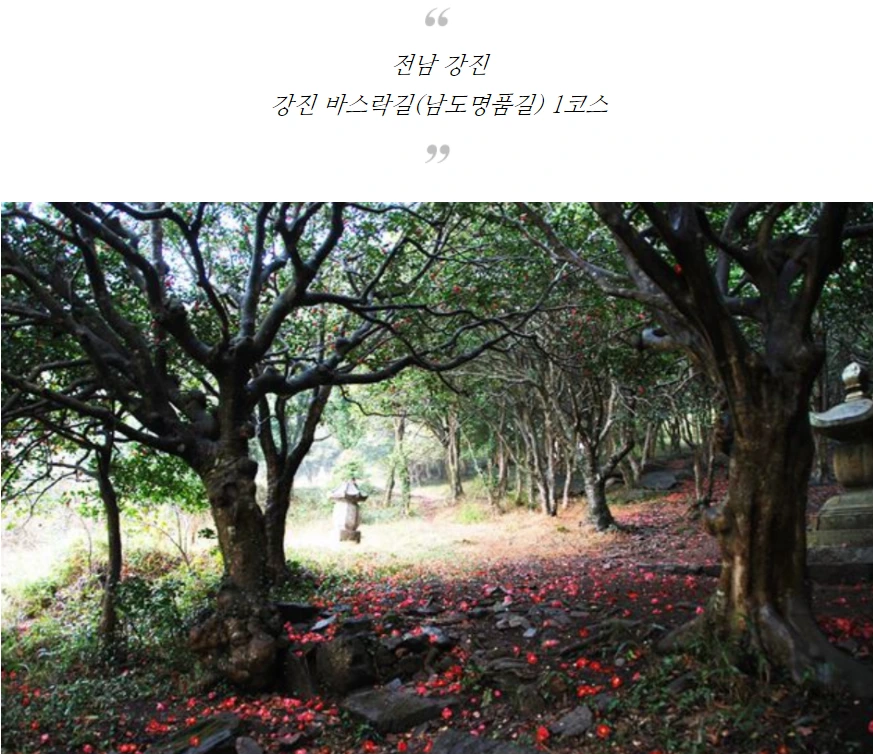 99EB7F4E5AA73E2F14D263