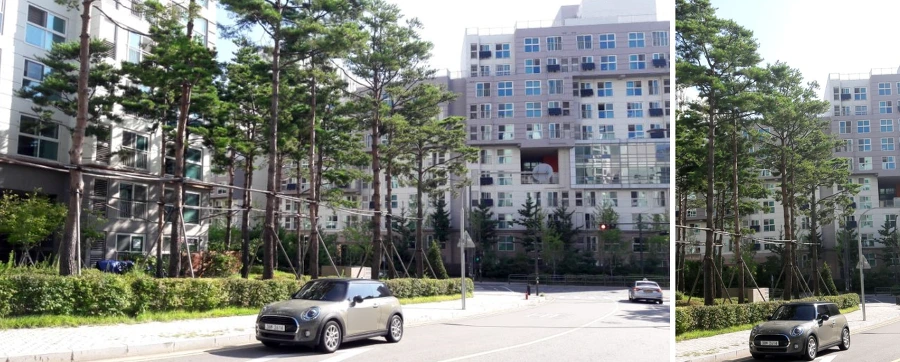 99966B4A5B953F19059475