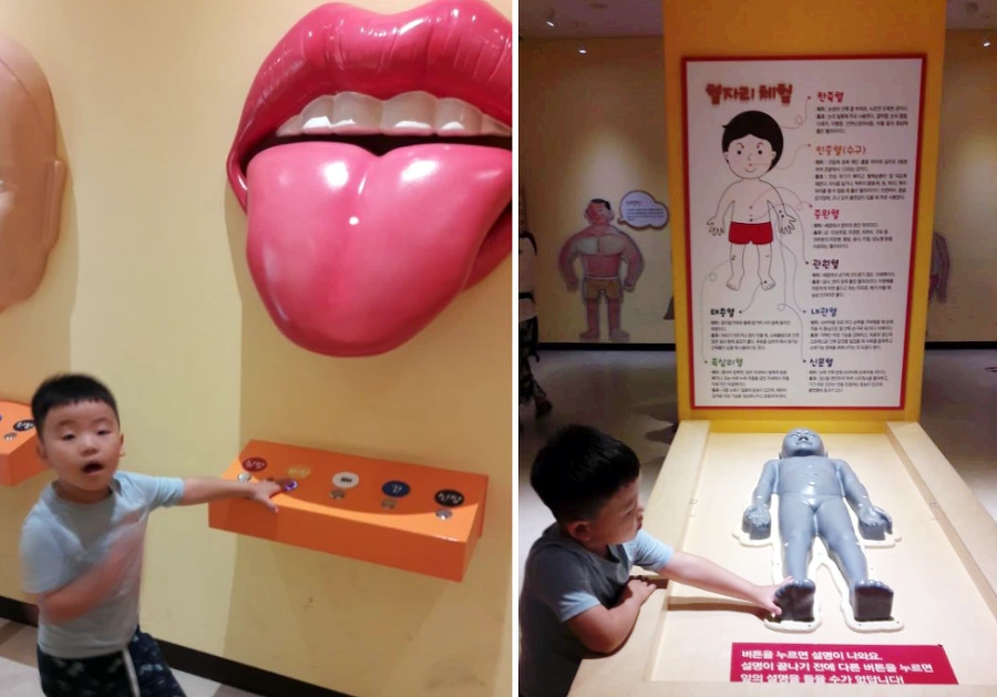 9964C5335B6F8C31358979