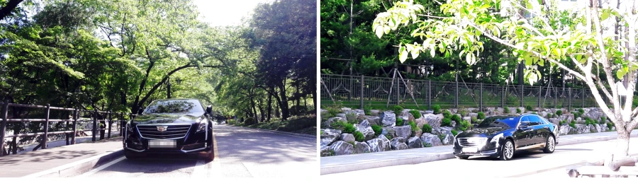 995A3D465B04C59928583D