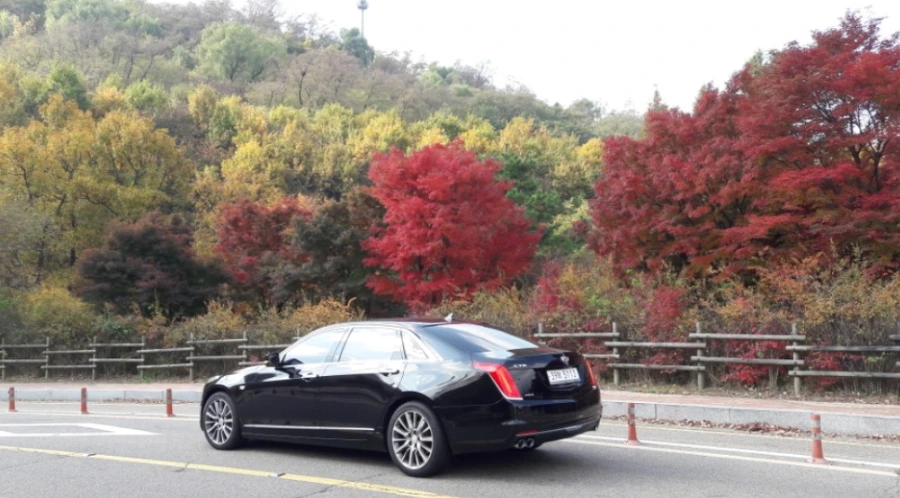 99DC3A335A0FC0F30122FB