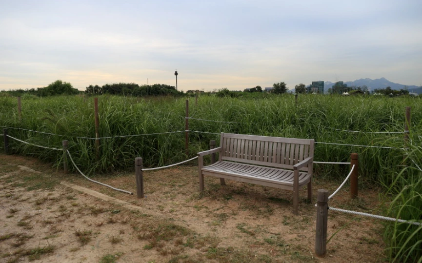 99CDC5335A09757432D354